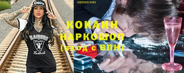 спайс Гусь-Хрустальный