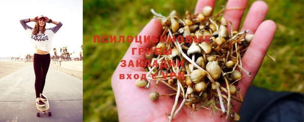 прущий лед Гусев